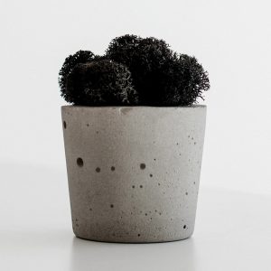 Black plant in a gray pot
