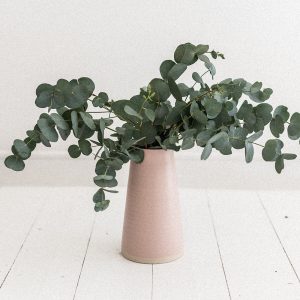 Green plant in a beige pot